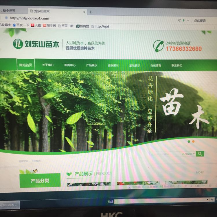 刘东山苗木图片