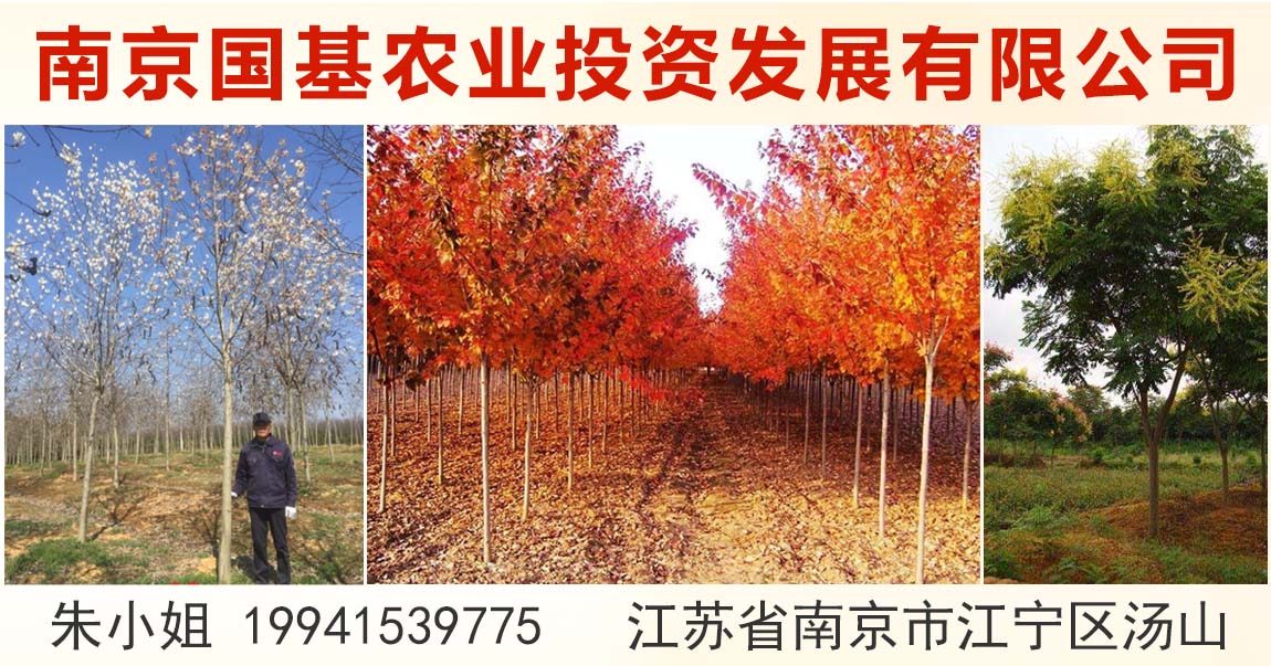 南京国基农业投资发展有限公司