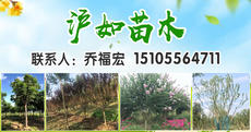 安徽宏杰园林图片