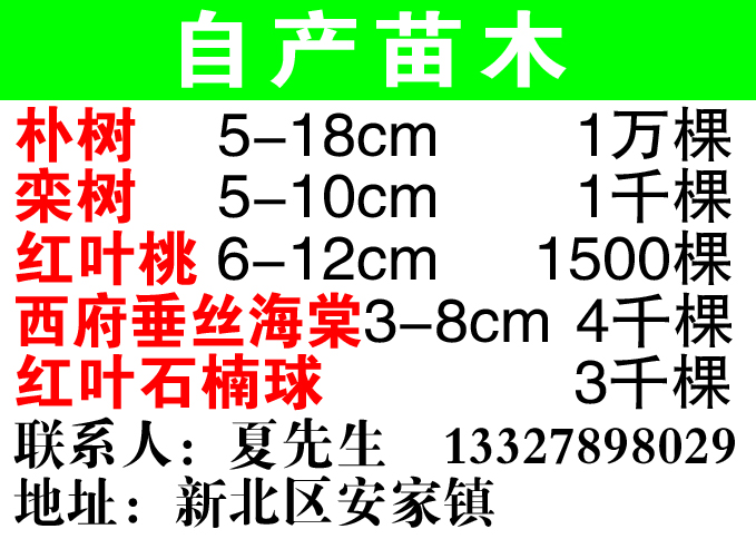 自产自销，常州新北区。个人图片