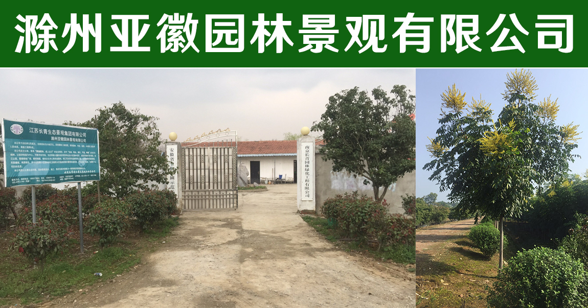 滁州亚徽园林景观有限公司