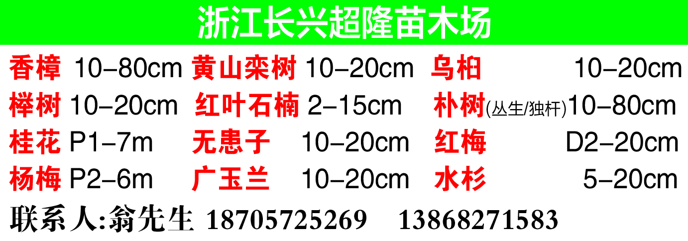 浙江长兴超隆苗木场