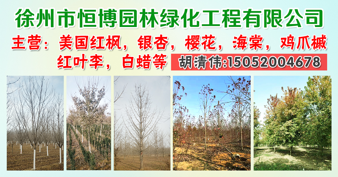 徐州市恒博园林绿化工程有限公司