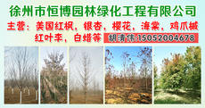徐州市恒博园林绿化工程有限公司图片