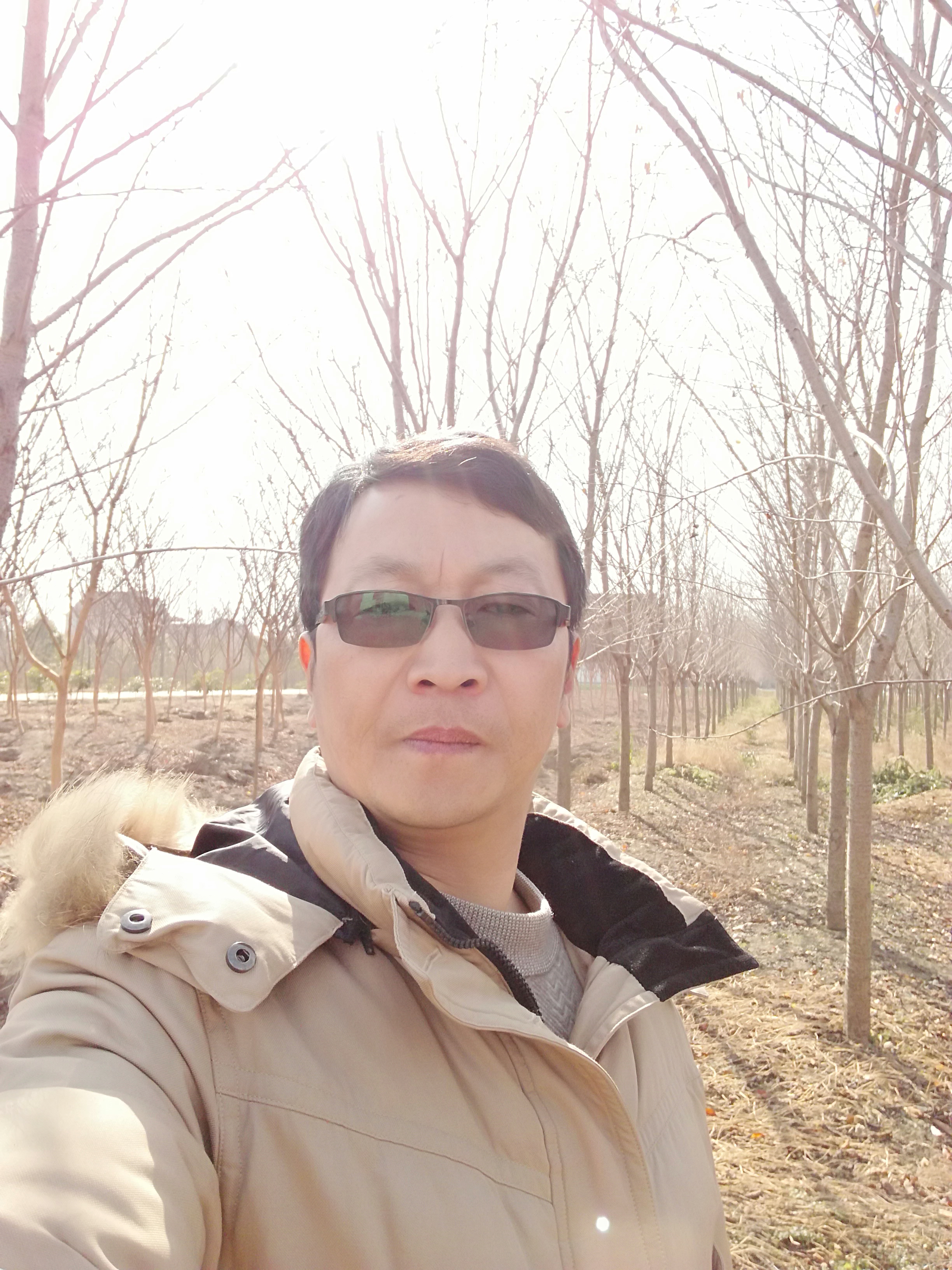 樱花图片