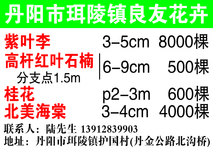 丹阳市珥陵镇良友花卉图片