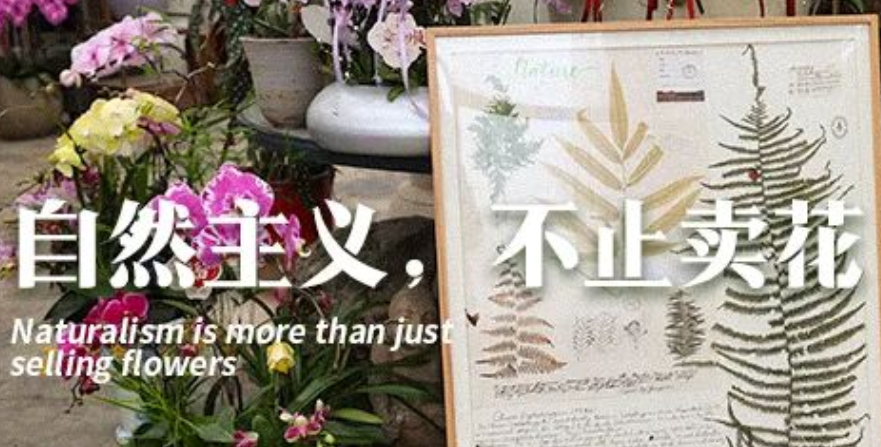 重塑年味美学：走进鹤止步的“自然主义”花艺空间
