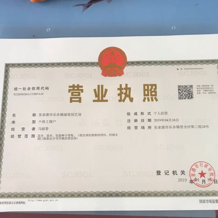张家港种子园林图片