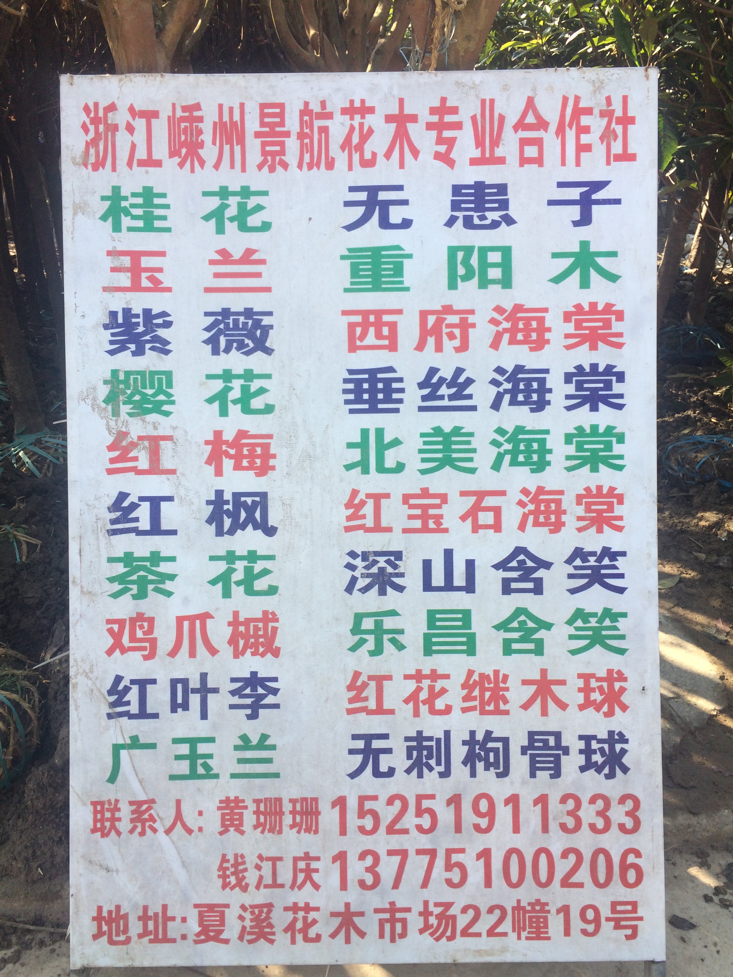嵊州景航花木专业合作社图片