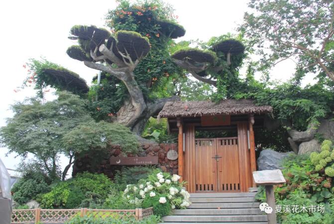 行业资讯——这份2021年及“十四五”各地绿化规划红包，请收下
