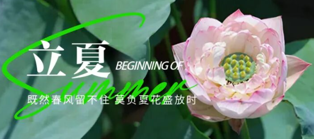 【立夏】迎夏而立，万物繁茂
