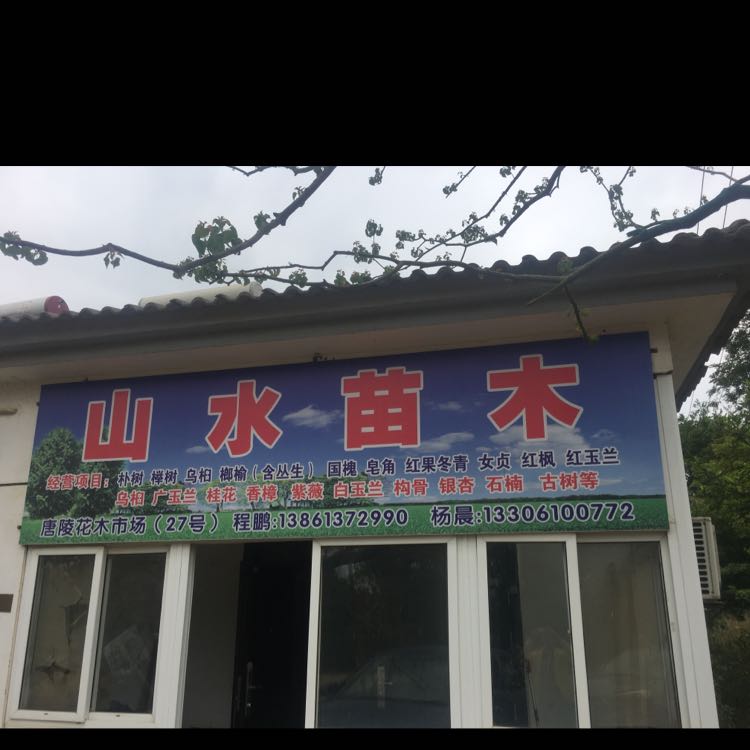 山水苗木图片