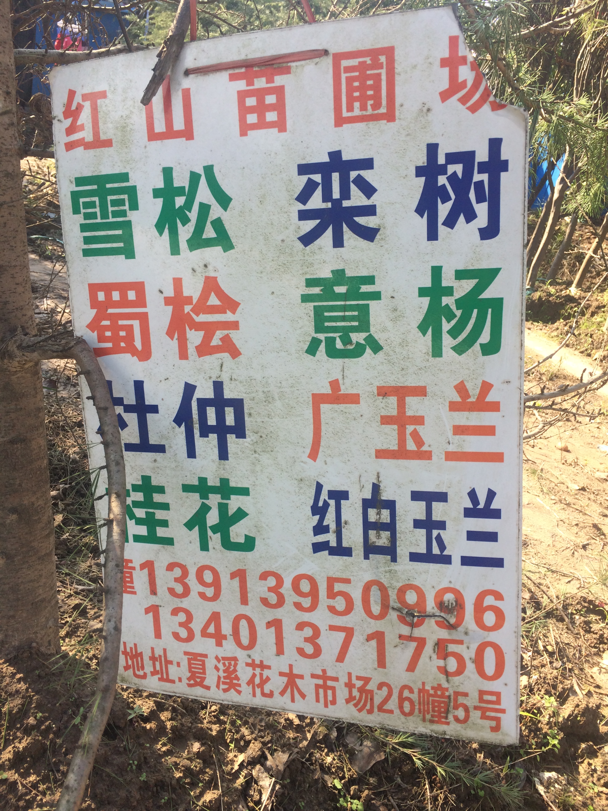 红山苗圃场