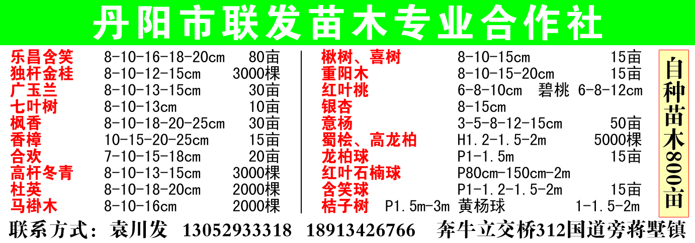 丹阳市联发苗木专业合作社图片