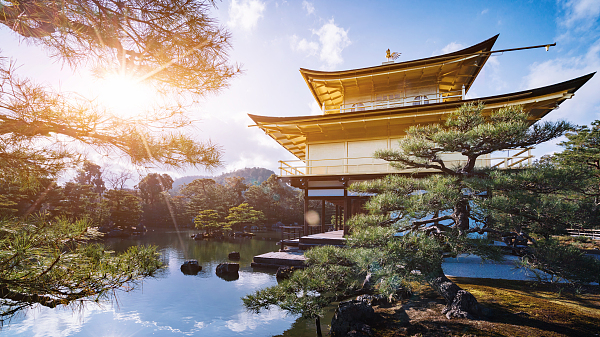 炎炎夏日，如何避免苗木焦叶干旱，记住这8点苗木种植夏季管理养护技术！