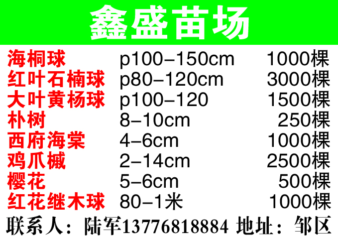 鑫盛苗场图片