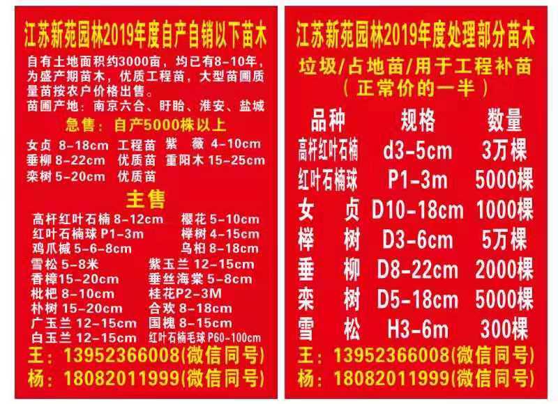 江苏新苑园林工程建设有限公司图片