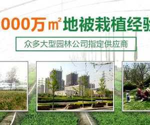 北京北方常绿园林绿化工程有限公司