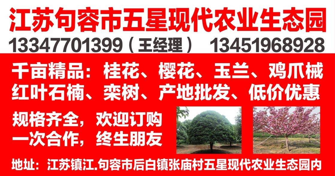 江苏句容市五星农业生态园图片