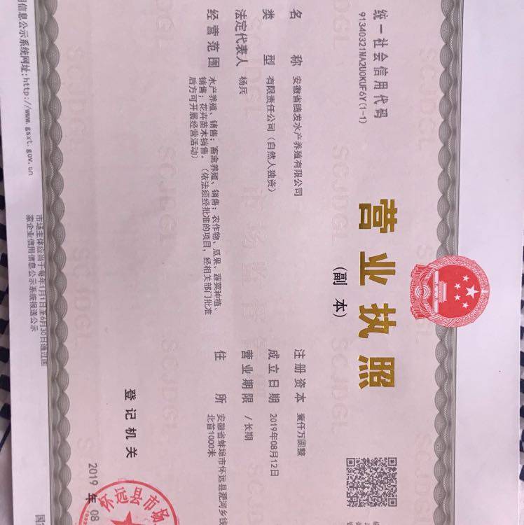 安徽省腾发苗木有限公司图片