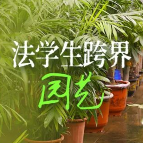 没进体制，进了花棚