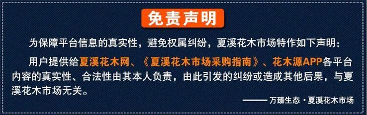 首页轮播图